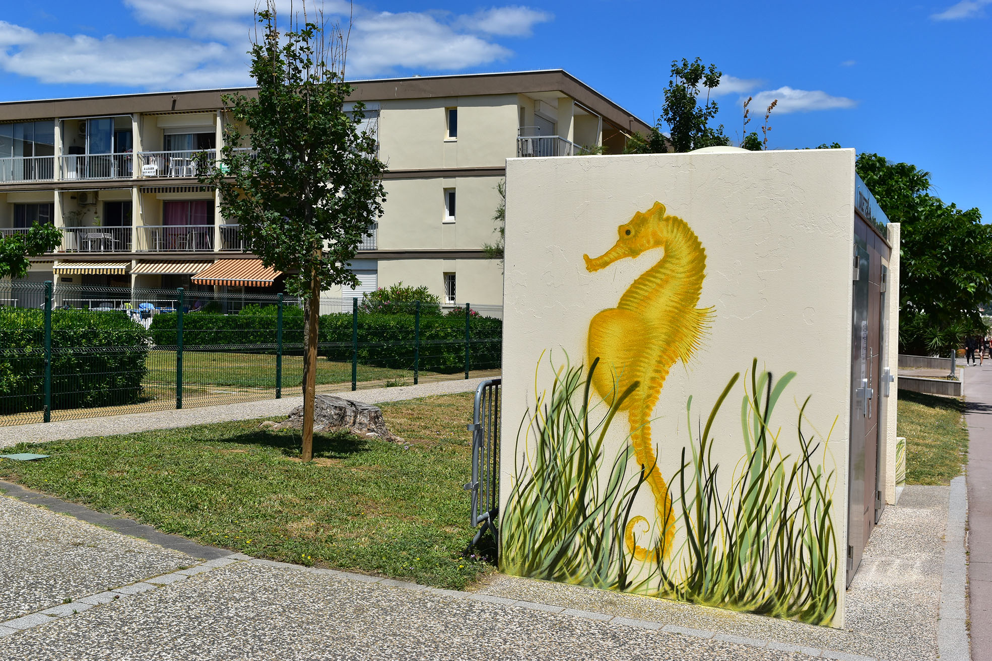 Hippocampe